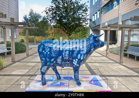 Kuhskulptur in Oxtrrail 2024, Oxford. OxTrail 2024 ist eine öffentliche Kunstveranstaltung zur Unterstützung einer bekannten Wohltätigkeitsorganisation. Eine eklektische Herde von Ochsen durchstreift die Stadt Stockfoto