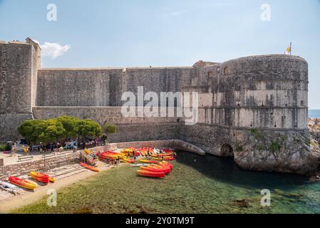 Mittelalterliche Mauern der alten ummauerten Stadt Dubrovnik, UNESCO-Weltkulturerbe an der Adria in der Republik Kroatien am 29. August 2024 Stockfoto