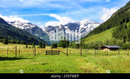 Idyllische Landschaft in den österreichischen Alpen mit frischen grünen Wiesen und blühenden Blumen und schneebedeckten Berggipfeln im Hintergrund, hohe Tauren - Gros Stockfoto