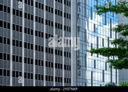Zwei Gebäude mit kontrastierenden Fenstermustern stehen nebeneinander. Das linke Fenster hat kleine, quadratische Fenster in einem Rastermuster, während das auf t Stockfoto