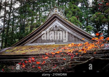 Traditionelles japanisches Tempeldach mit detaillierten schnitzereien kyoto Stockfoto