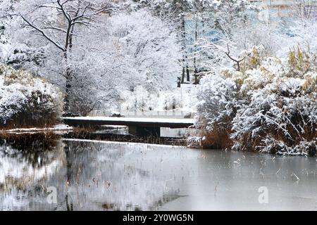 Wunderschöne Winterlandschaft mit schneebedeckten Wäldern und Seen, Ilsan Lake Park Stockfoto