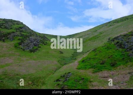 Sanfte Hügel im Carding Mill Valley Stockfoto