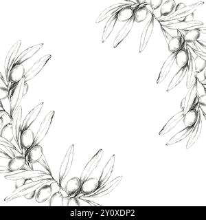 Bleistiftzeichnungs-Clipart eines Olivenzweigs in halbrunder Form. Illustration für Hochzeitseinladungen, Grußkarten und jedes Projekt, das ein mediterranes Element benötigt Stockfoto