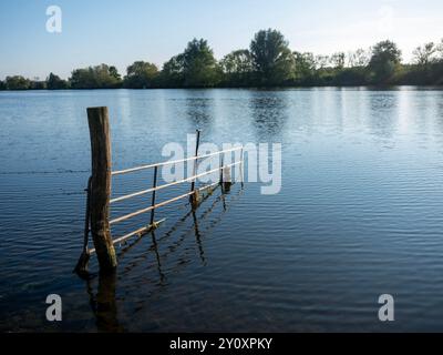 Hochwasser hat das Eisentor im Fluss maas bei boxmeer in den niederlanden überschwemmt Stockfoto