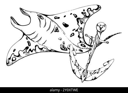 Stachelrochen-Manta mit Anker, Meereslebewesen, Meeresmeer Unterwasserwesen Tier, Tinte und Stift Skizze handgezeichnet. Darstellung der Komposition, stilisiert Stock Vektor