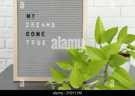 Brieftafel mit dem Spruch My Dreams Come True und Pflanzen Sie auf einem Beistelltisch in der Nähe der weißen Ziegelwand Stockfoto