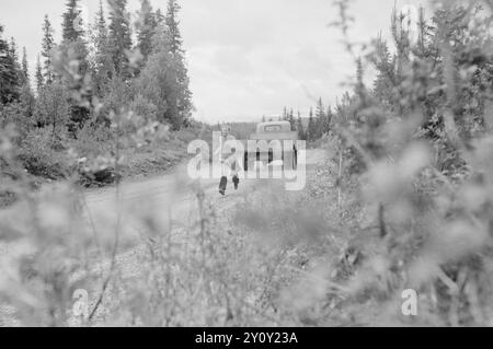 Aktuell 16-1951: Meine Erfahrungen auf der Wandertour. Aktuelle Mitarbeiter Journalist Dagmar Scheflo und Fotograf SV. A. Børretzen startete von Trondheim am Dienstag, den 3. Juli auf die Wanderung, die in Nr. 13 angekündigt wurde und von der wir den Startbericht in der Sommerausgabe mitbrachten. Die Strecke war lang – über Sogn, über Bergen, Stavanger, Kristiansand S., Kragerø, Notodden und Hønefoss nach Oslo. Am Montag, den 16. Juli abends, waren sie wieder in Oslo - ein paar Kilo leichter, aber in relativ gutem Zustand. Foto: Sverre A. Børretzen / aktuell / NTB ***das Foto ist nicht bearbeitetes Bild*** dieses Bild te Stockfoto