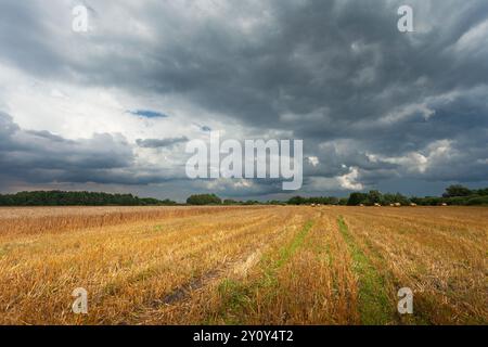 Dunkle Sturmwolken über einem Stoppelfeld, Sommerblick, Ostpolen Stockfoto