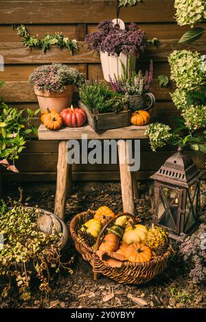Wunderschöne Herbstterrasse und Terrassendekoration mit Kürbissen, Laterne, Pflanzen und Blumen Stockfoto
