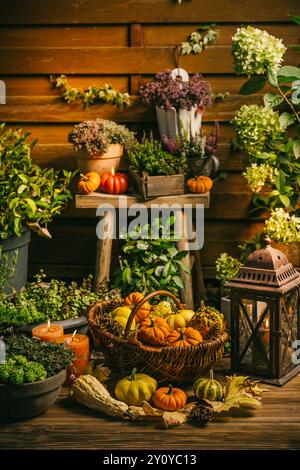 Wunderschöne Herbstterrasse und Terrassendekoration mit Kürbissen, Laterne, Pflanzen und Blumen Stockfoto