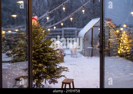 Wunderschöner schneebedeckter Hinterhof in den Winterferien Stockfoto