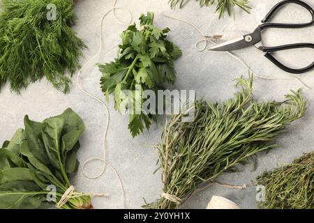 Bündel verschiedener frischer Kräuter, Garne und Schere auf hellgrauem, strukturiertem Tisch, flach gelegt Stockfoto