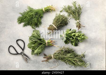 Bündel verschiedener frischer Kräuter und Scheren auf hellgrauem, strukturiertem Tisch, flach gelegt Stockfoto