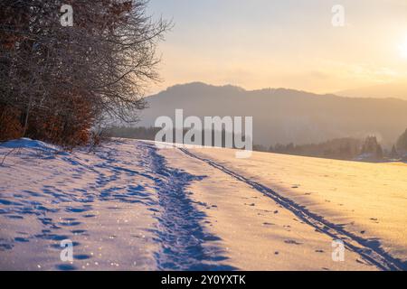 Eine ruhige Winterlandschaft bietet einen schneebedeckten Pfad, der durch eine ruhige Umgebung führt. Die Sonne untergeht hinter fernen Bergen und strahlt einen warmen Glanz über den unberührten weißen Schnee. Stockfoto