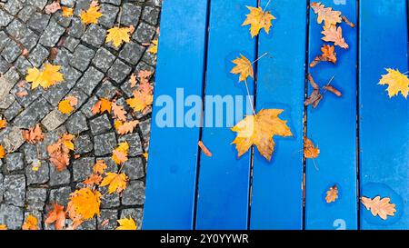 Herbstlaub verstreut auf einem Kopfsteinpflasterweg und einer blauen Bank, die lebendige Herbstfarben und die heitere Schönheit des jahreszeitlichen Wandels, der Natur zeigen Stockfoto