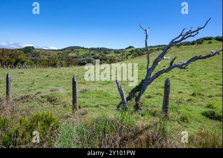 Blick auf die Plaine des Cafres in der Nähe von Le Tampon von der Route du volcan auf der Insel Réunion. Stockfoto