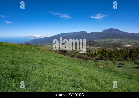 Blick auf die Plaine des Cafres in der Nähe von Le Tampon von der Route du volcan auf der Insel Réunion. Stockfoto