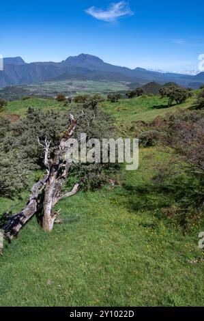 Blick auf die Plaine des Cafres in der Nähe von Le Tampon von der Route du volcan auf der Insel Réunion. Stockfoto