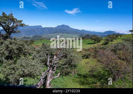 Blick auf die Plaine des Cafres in der Nähe von Le Tampon von der Route du volcan auf der Insel Réunion. Stockfoto