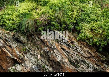 moosbedeckte Felsen im Tal des Bayehon Baches bei Ovifat im Hohen Venn, Belgien. Moosbewachsene Felsen im Tal des Bayehonbach bei Ovifat im hohe Stockfoto