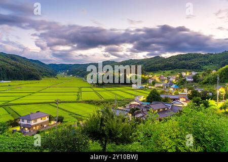 Präfektur Nagano, Japan, auf den ländlichen Tanokuchi Reisterrassen am Abend. Stockfoto