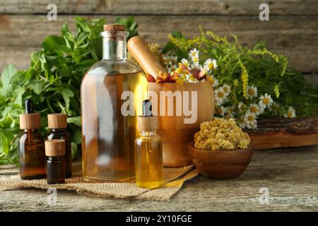 Tinkturen in Flaschen, Heilkräuter und Mörtel mit Stößel auf Holztisch Stockfoto