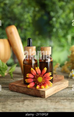 Tinkturen in Flaschen und Heilkräuter auf Holztisch Stockfoto