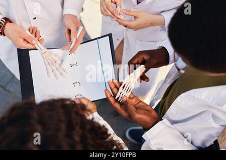 Draufsicht des Fußskelettmodells in den Händen eines afroamerikanischen Medizinstudenten, der Knochen untersucht, während er im Kreis mit Klassenkameraden im Freien steht, Kopierraum Stockfoto