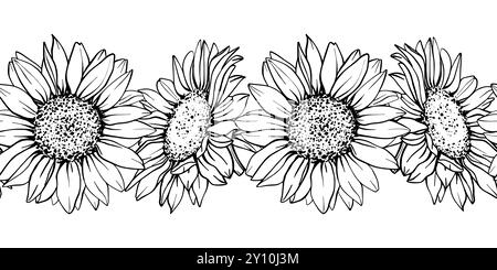 Nahtloser Rand mit Sonnenblumen. Hand zeichnen Sketch Stift und Tinte Vintage Vektor Illustration auf weißem Hintergrund. Botanische grafische Gravur Stock Vektor