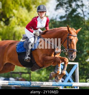 Ein junges Reitpferd, das während eines Springturniers auf einem Sauerampfer in einer sonnigen Outdoor-Arena über eine Hürde springt. Stockfoto