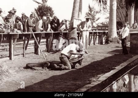 Alligator Joe kämpfte 1930 im Musa Isle Seminole Indian Village, einer Touristenattraktion der amerikanischen Ureinwohner in Miami, Florida. (USA) Stockfoto