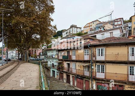 Das ehemalige jüdische Viertel Sao Pedro de Miragaia in der Stadt Porto mit seinen ursprünglichen und malerischen Gassen und Hausfassaden Stockfoto