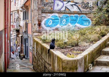 Das ehemalige jüdische Viertel Sao Pedro de Miragaia in der Stadt Porto mit seinen ursprünglichen und malerischen Gassen und Hausfassaden Stockfoto