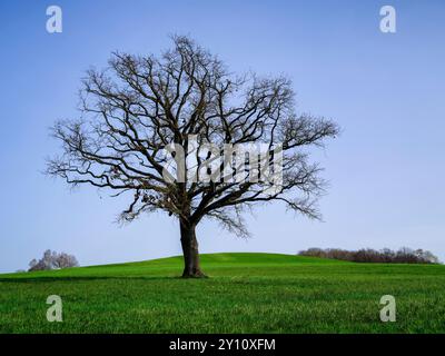 Frühlingstag im Naturpark Augsburg - Westwälder bei Siebnach Stockfoto