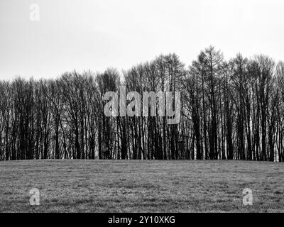 Frühlingstag im Naturpark Augsburg - Westwälder bei Siebnach Stockfoto