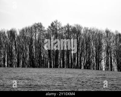 Frühlingstag im Naturpark Augsburg - Westwälder bei Siebnach Stockfoto