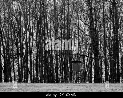 Frühlingstag im Naturpark Augsburg - Westwälder bei Siebnach Stockfoto