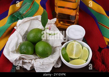 Tequila mit Limetten, Salz, mexikanischer Decke. Ideal für Projekte im Cinco de Mayo-Stil oder mexikanische Restaurants. Stockfoto