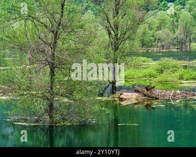 Am Lago di Loppio bei Mori Stockfoto