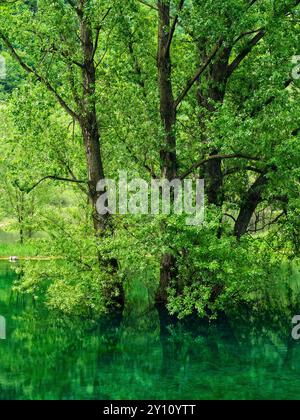 Am Lago di Loppio bei Mori Stockfoto