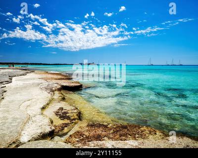 Karibisches Feeling am Strand von es Trenc Stockfoto