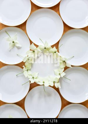 Weiße Teller mit goldenem Rand sind festlich mit den Blumen der Hartholzpflanze verziert, Vorbereitung und Dekoration für eine Feier, Tischdekoration Stockfoto