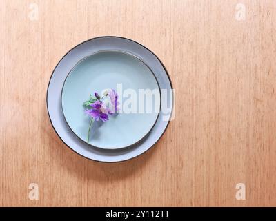 Die blühende lila Kranichschnabelblüte liegt auf einem hellblauen Teller mit Untertasse Stockfoto