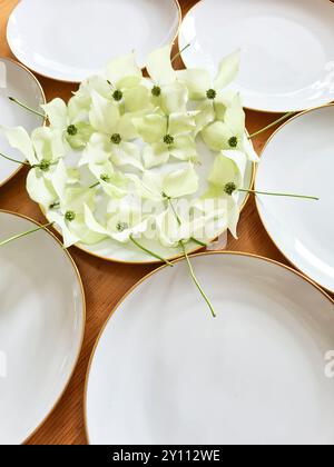 Ein weißer Teller mit goldenem Rand ist festlich mit den Blüten der Hartholzpflanze verziert, die anderen Teller sind leer, Vorbereitung und Dekoration für eine Feier im Sommer Stockfoto