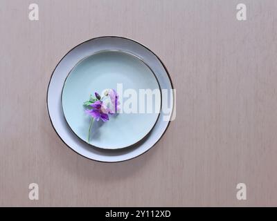 Die blühende lila Kranichschnabelblüte liegt auf einem hellblauen Teller mit Untertasse vor pastellfarbenem Hintergrund Stockfoto