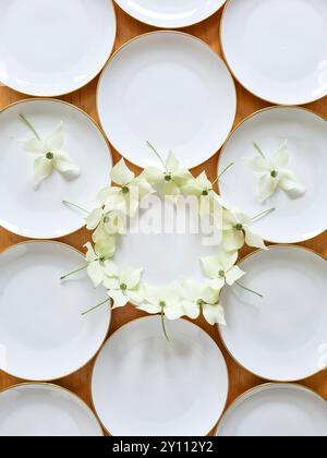 Weiße Teller mit goldenem Rand sind festlich mit den Blumen der Hartholzpflanze verziert, Vorbereitung und Dekoration für eine Feier, Tischdekoration Stockfoto