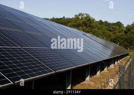 Solarpaneele, auch Photovoltaikanlagen genannt, werden auf dem Gelände eines Gästehauses im Dorf Trzci?sko in der Woiwodschaft Niederschlesien im Südwesten Polens gesehen. Die Beliebtheit erneuerbarer Energiequellen (EE) wächst in Polen, und die Regierung bereitet sich darauf vor, die Berechnungsmethoden für Einzelpersonen und Unternehmen, die Energie für ihren eigenen Bedarf erzeugen und den Überschuss an das Netz übermitteln, erheblich zu ändern. Die polnische Klima- und Umweltministerin Paulina Hennig-Kloska kündigte den Abschluss der Arbeiten an einem Gesetz an, das nicht nur darauf abzielt, das Leben des gegenwärtigen Betrügers zu erleichtern Stockfoto