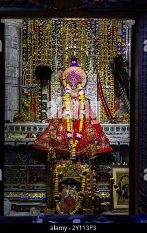 Das Idol der hinduistischen Göttin, das mit Blumen am heiligen Tempel verziert ist, ist im Karni Mata Tempel in Udaipur rajasthan indien aufgenommen. Stockfoto