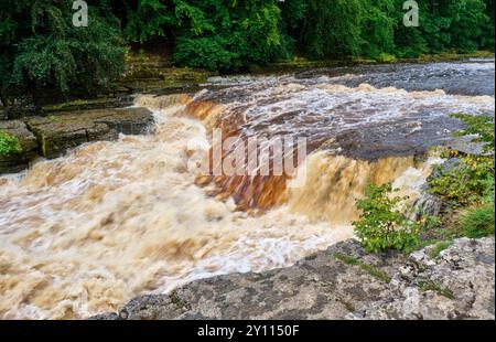 Aysgarth Lower Falls, Aysgarth, North Yorkshire Stockfoto